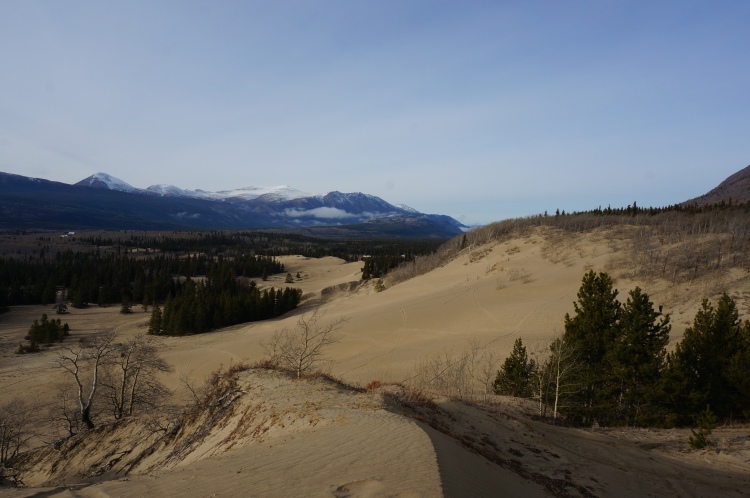 Carcross Desert in the middle of nowhere